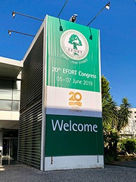 European Federation of National Associations of Orthopaedics and Traumatology (EFORT)