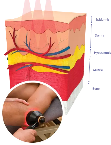Cellular Mechanism - Benjamin Domb MD